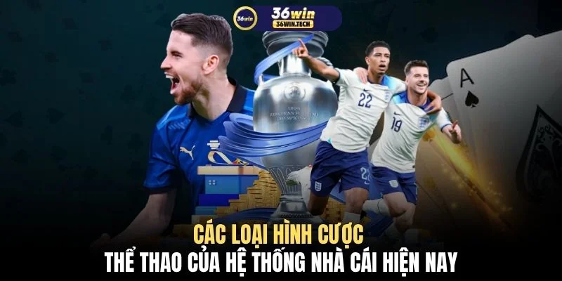 Các loại hình cược thể thao của hệ thống nhà cái hiện nay