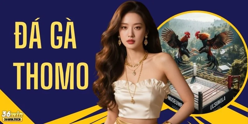 Đá Gà Thomo Trực Tiếp 4K Cập Nhật 50 Trận Đấu Kịch Tính 6 Đá Gà Thomo Trực Tiếp 4K Cập Nhật 50 Trận Đấu Kịch Tính