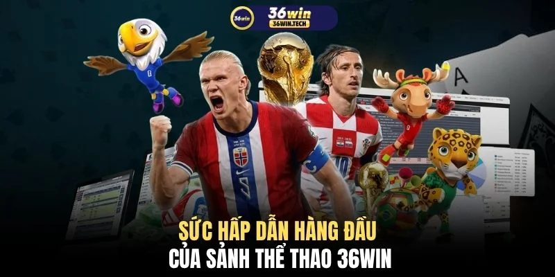 Sức hấp dẫn hàng đầu của sảnh thể thao 36WIN